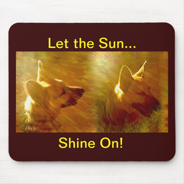 Shine on Me German Shepherd Musmatta (Framsidan)