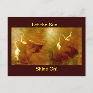 Shine On Me Schäferhund Vykort