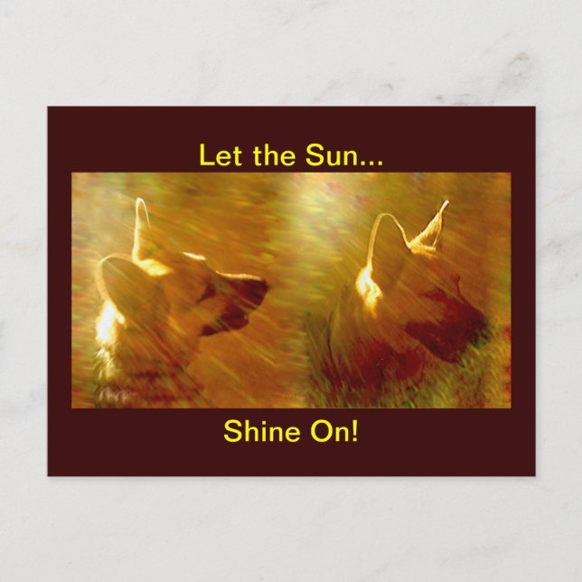 Shine On Me Schäferhund Vykort (Framsida)