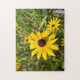 Shine, Shout och Sjunga Pussel