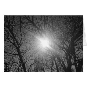 Shine through - noir, kort