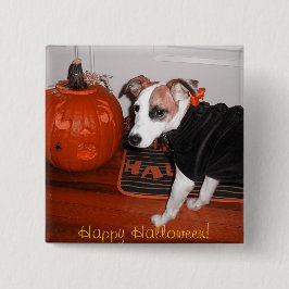Shiners bäst Halloween Knapp