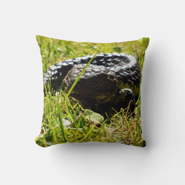 Shingleback Lizard on Grass, Cushion Kudde (Framsida)