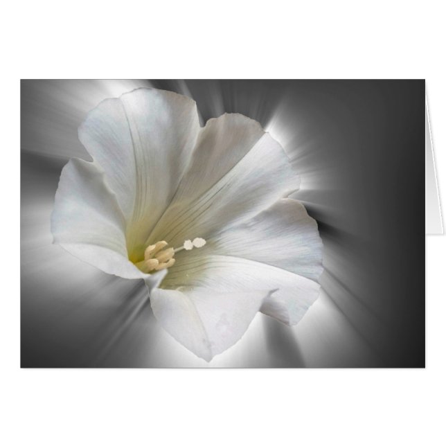 Shining i mörken hälsningskort (Framsidan Horizontal)