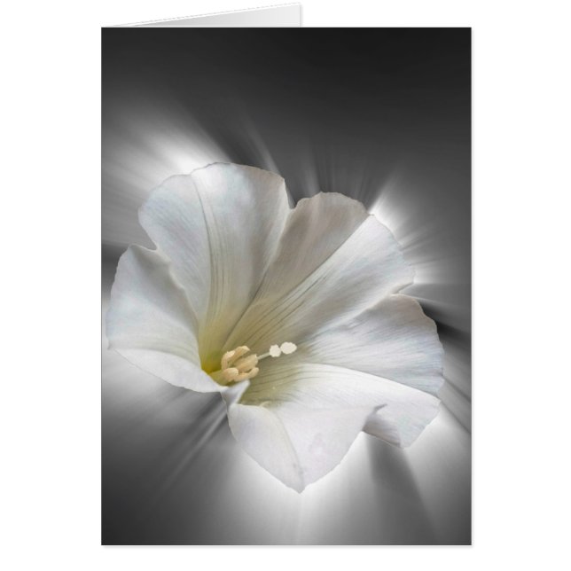 Shining i mörken hälsningskort (Framsidan)