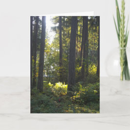 Shining Light - Folded Greeting Card Kort