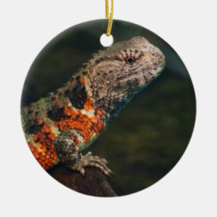 Shinisaurus krokodilurus julgransprydnad keramik