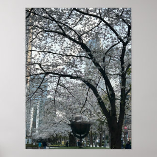 Shinjuku i Sakura Season Poster