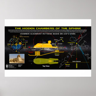 Shinx Gömt kammare Poster