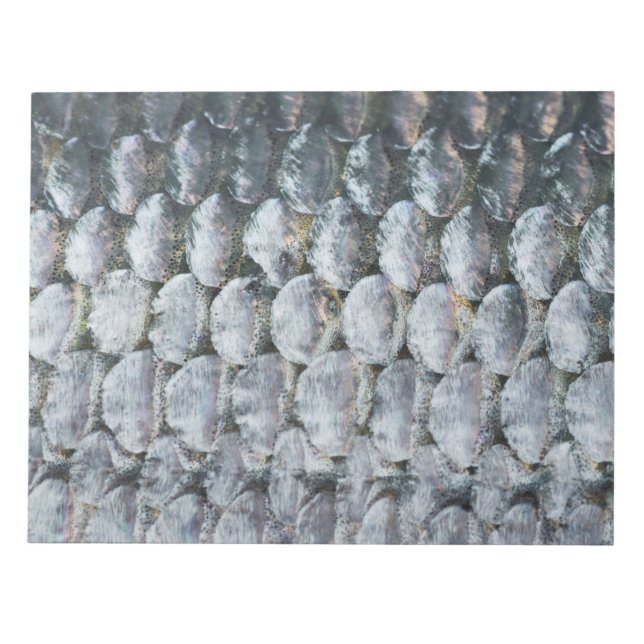 Shiny Salmon Scales Anteckningsblock (Framsida)