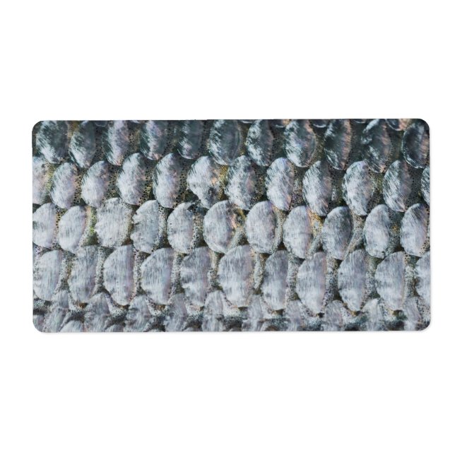 Shiny Salmon Scales Fraktsedel (Framsidan)