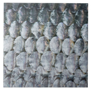 Shiny Salmon Scales Kakelplatta
