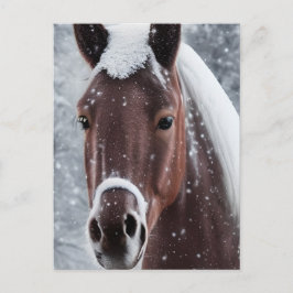 Shiny Smooth Glass Search for Horse Helg Vykort