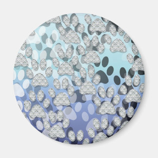 Shiny TASSAR 1 Magnet