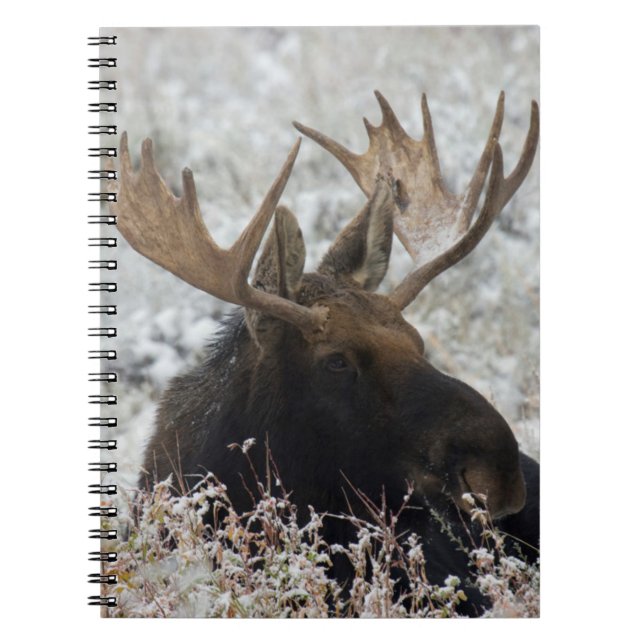 Shiras älgstut anteckningsbok (Framsidan)