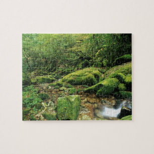 Shiratani Unsuikyo, Yakushima, Kagoshima, Japan Pussel