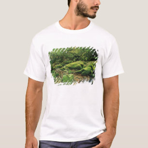 Shiratani Unsuikyo, Yakushima, Kagoshima, Japan Tee Shirt