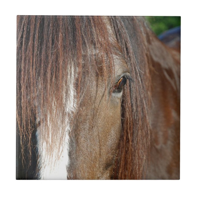 shire kakelplatta (Framsidan)