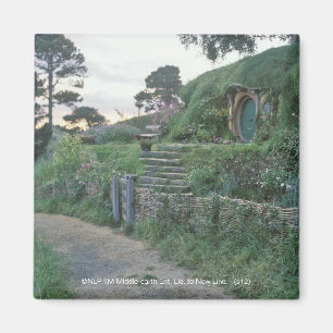 SHIRE™ MAGNET