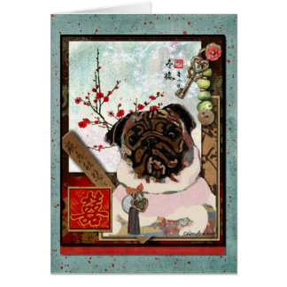 Shirley docka OBS kort