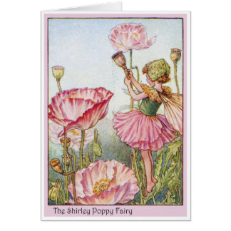 Shirley Poppy Fairy Hälsningskort