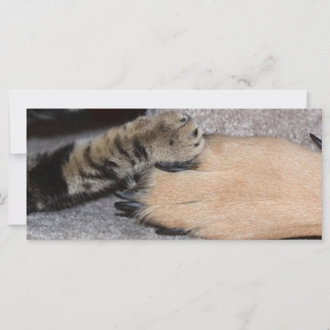 Shirley Taylor Best Friends Forever (Framsida)