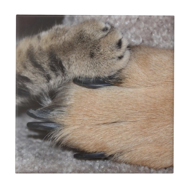 Shirley Taylor Best Friends Forever Kakelplatta (Framsidan)