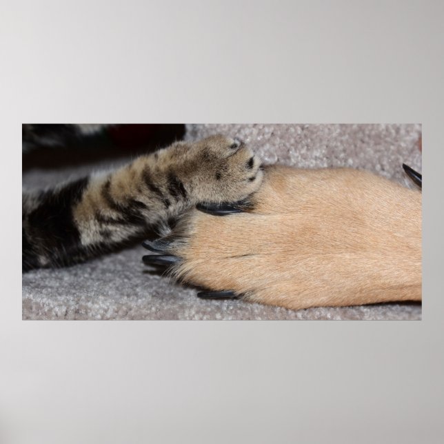 Shirley Taylor Best Friends Forever Poster (Framsidan)