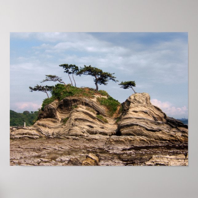 Shiroyama Poster (Framsidan)