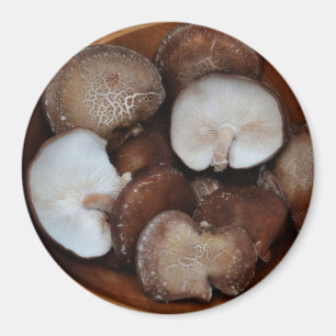 Shitake champinjoner magnet