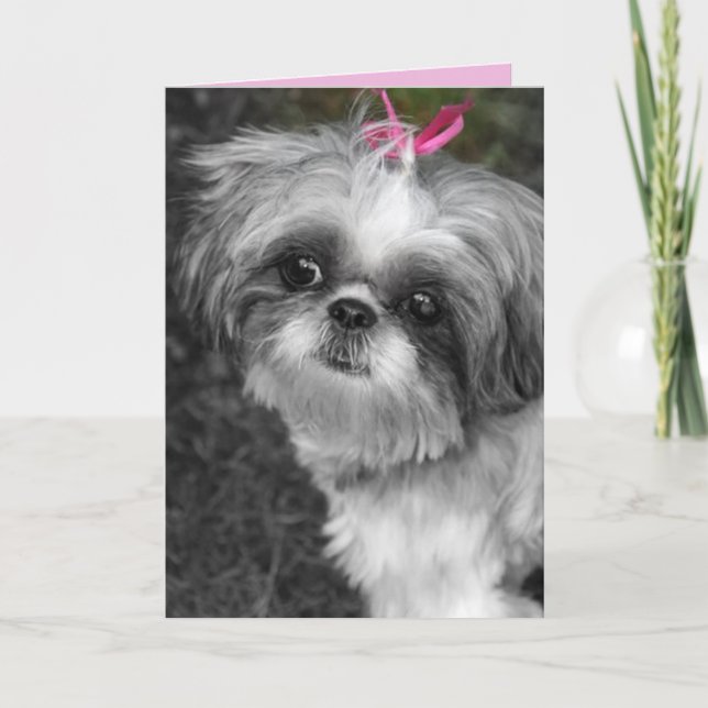 Shitzu Girl Greeting Card Kort (Framsida)
