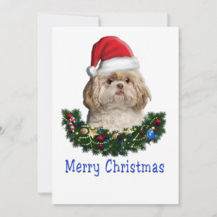 Shitzu jul julkort