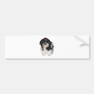 Shitzu Shih Tzu Puppy Hundar Bildekal