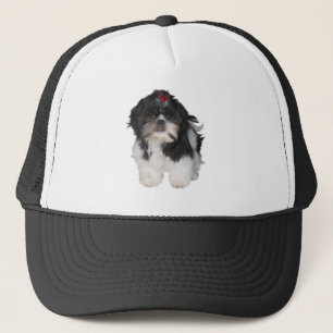Shitzu Shih Tzu Valp Hundar Truckerkeps