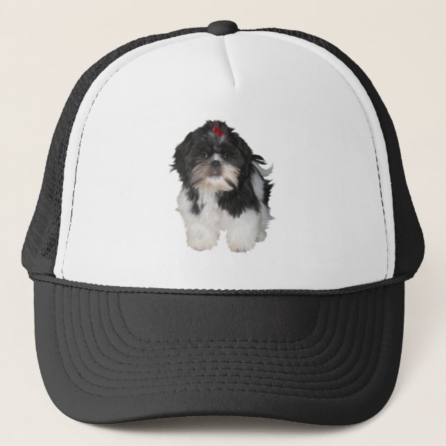 Shitzu Shih Tzu Valp Hundar Truckerkeps (Framsida)