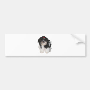 Shitzu Shih Tzu Valpar Hundar Bildekal