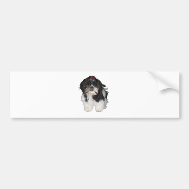 Shitzu Shih Tzu Valpar Hundar Bildekal (Framsidan)