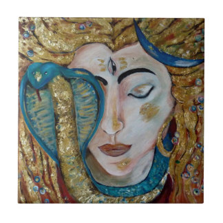 Shiva Kakelplatta