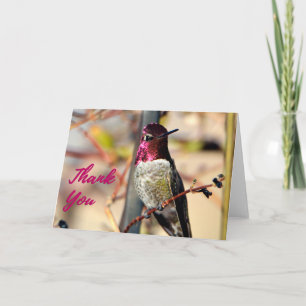 Shock rosa Anna Hummingbird Photo - tackkort