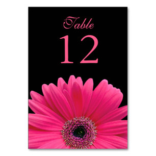 Shock rosa Black Gerber Daisy Bröllop Bordsnummer
