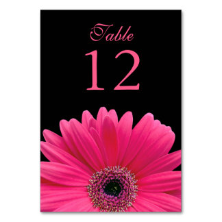 Shock rosa Black Gerber Daisy Bröllop Bordsnummer
