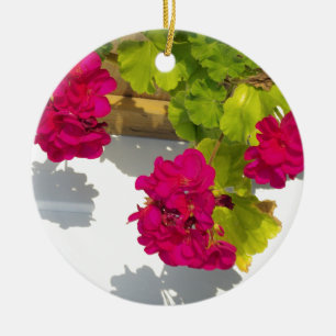 Shock rosa blommigt Blommor Rosa Geranium Julgransprydnad Keramik