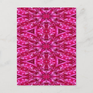 Shock rosa Cabbage Ro Art Vykort