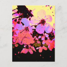 Shock rosa Cherry Blommar Vykort