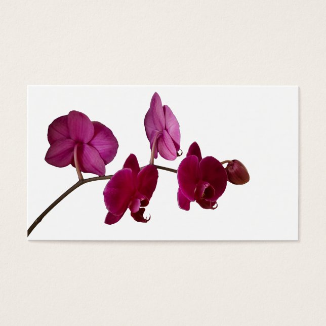 Shock rosa Dendrobium Orchid - Orchids Background Visitkort (Framsidan)