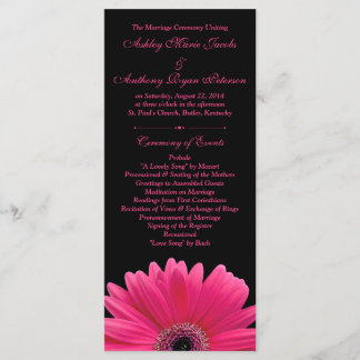 Shock rosa Gerbera Daisy Black-Bröllopsprogrammet Program
