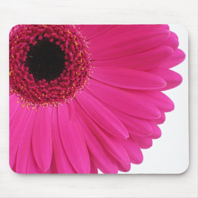 Shock rosa Gerbera Musmatta (Framsidan)