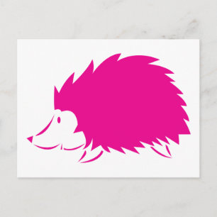 Shock rosa Hedgehog Vykort