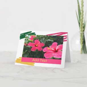 Shock rosa Hibiscus Kort