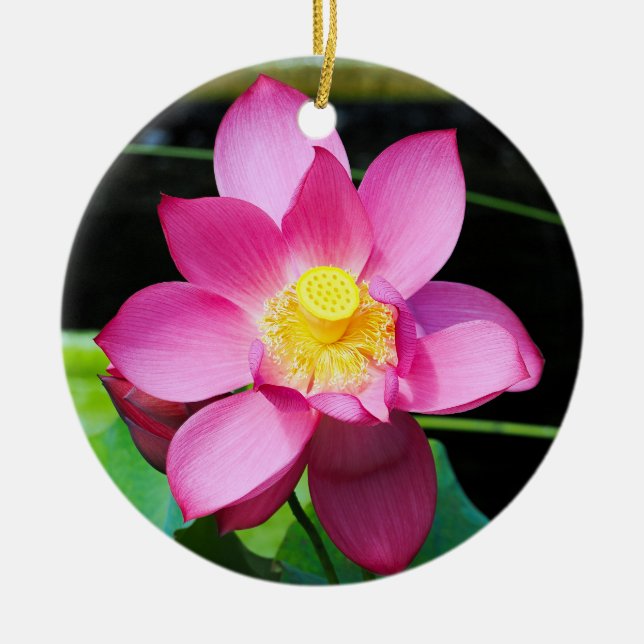 Shock rosa Lotus Flower Julgransprydnad Keramik (Framsidan)